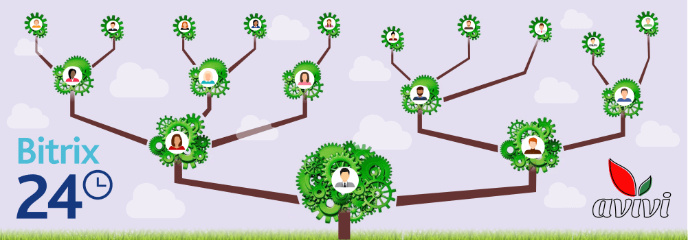Avivi's custom MLM structure component for Bitrix24