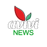 Avivi News